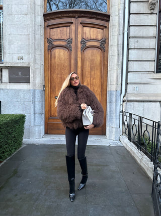Aspen new Coat Brown
